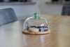 Glass dome W-231G2+wooden base H:16,5cm D:22cm